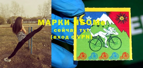 СК Алзамай