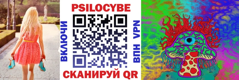 Псилоцибиновые грибы Psilocybe купить закладку Курган